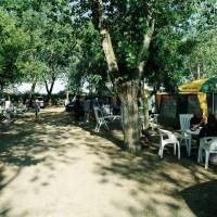 Camping